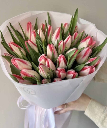 Różowe tulipany