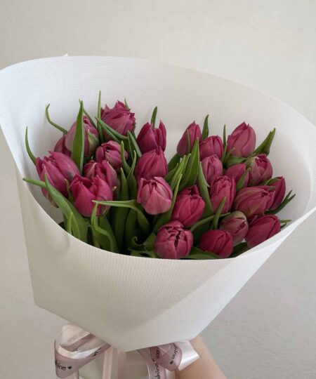 Sezonowe tulipany