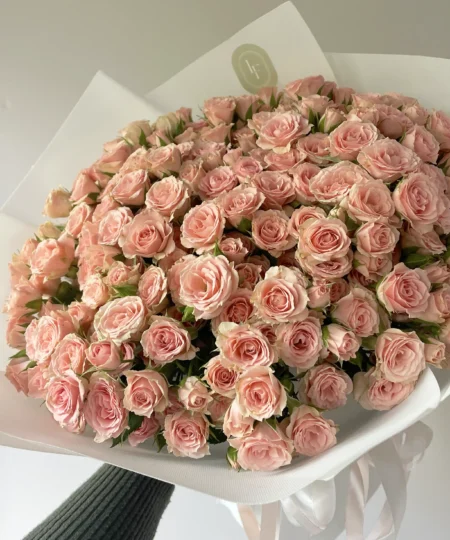 Daisy Spray Rose - Зображення 2